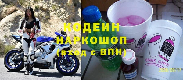 хмурый Алзамай