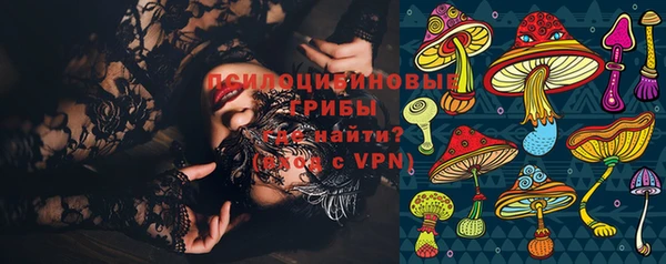 кокс Алексин
